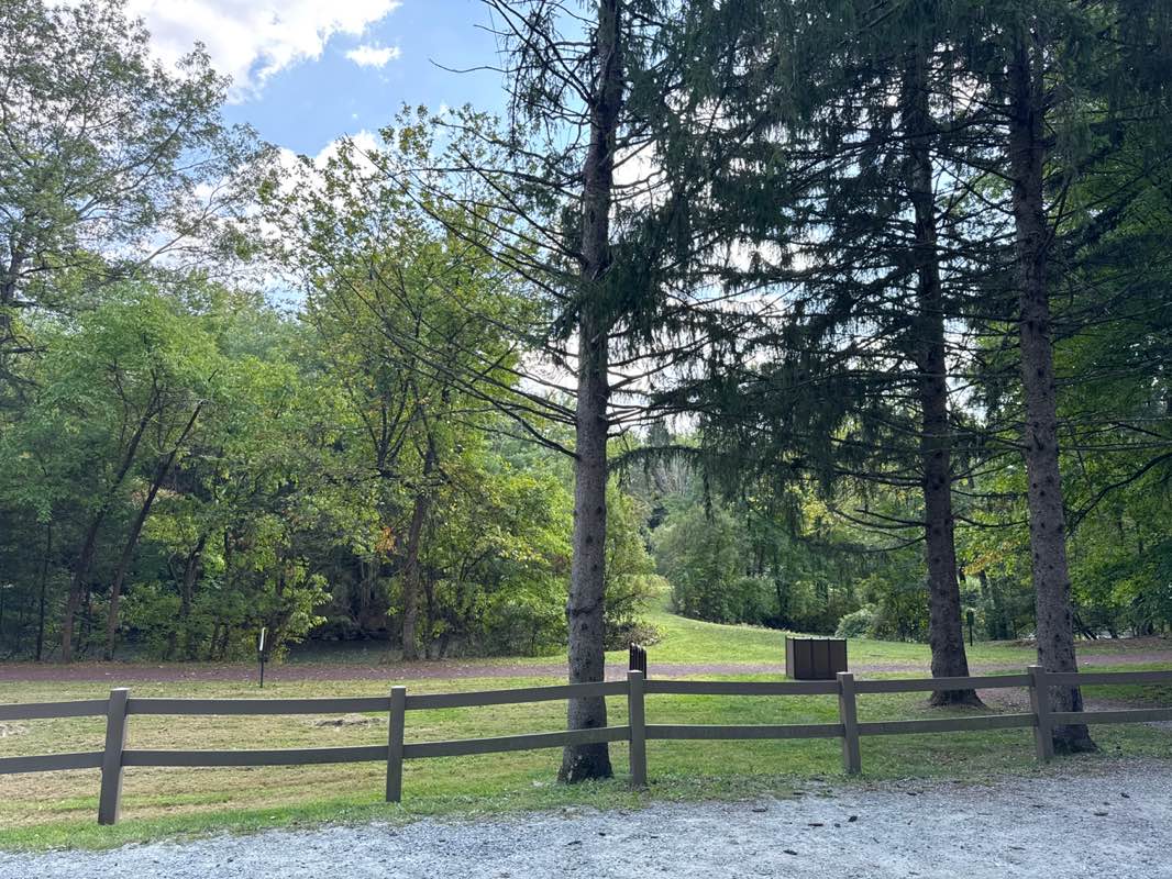 walking near me in Kathryn Gorman Ponds Park in autumn