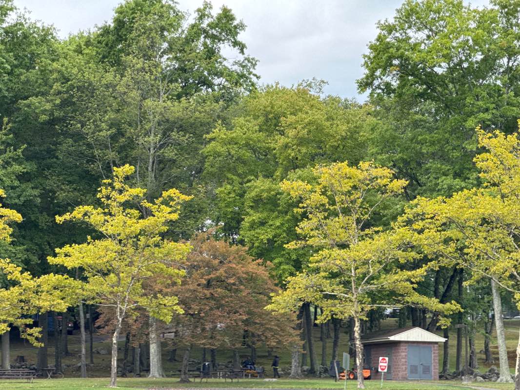 walking near me in Germonds Park in autumn