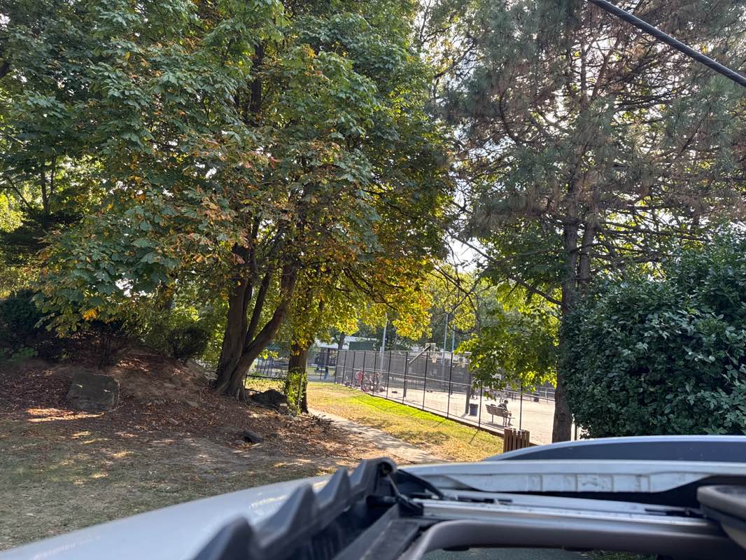 walking near me in William Birch Park in autumn