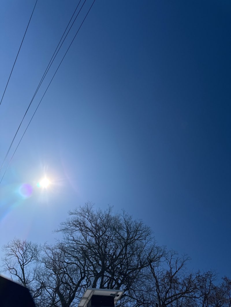 walking near me in Rand Park in winter