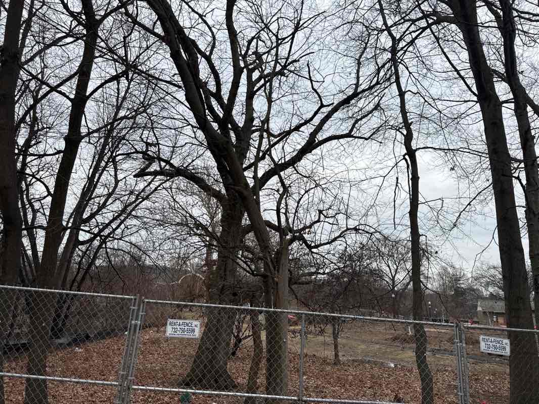 walking near me in West Side Park in winter