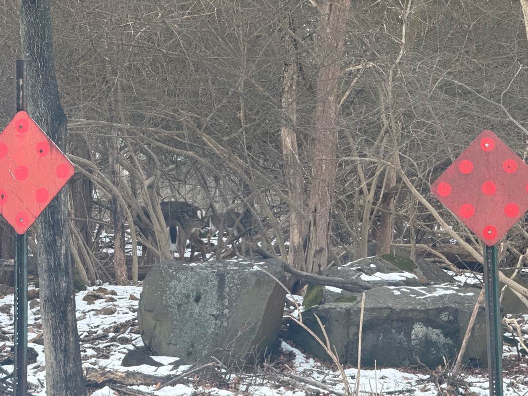 walking near me in Osborne Park in winter
