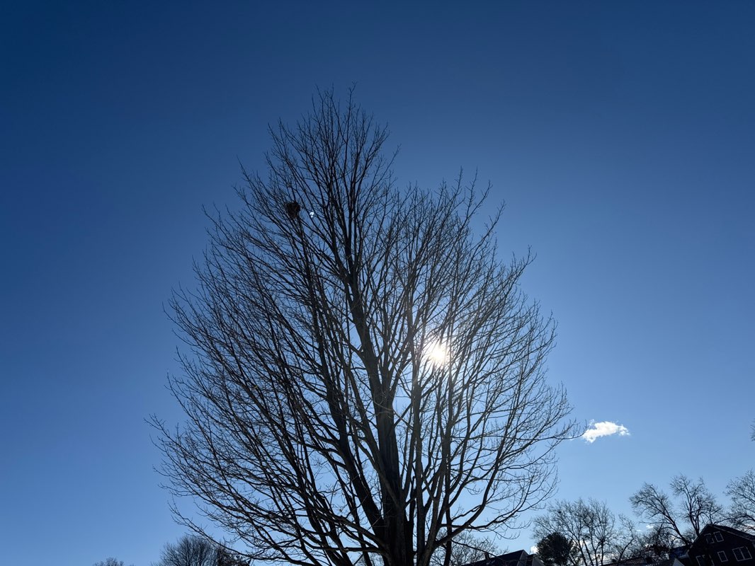 walking near me in Latteri Park in winter