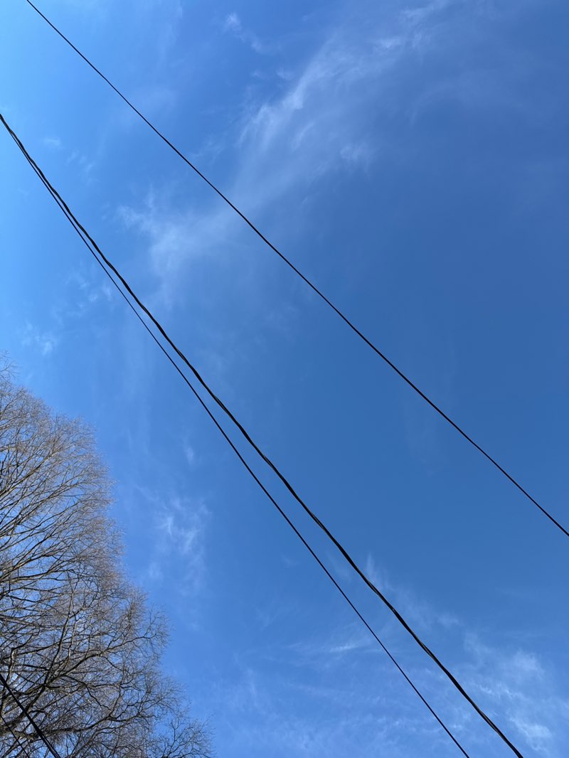 walking near me in Radburn A-Park in winter