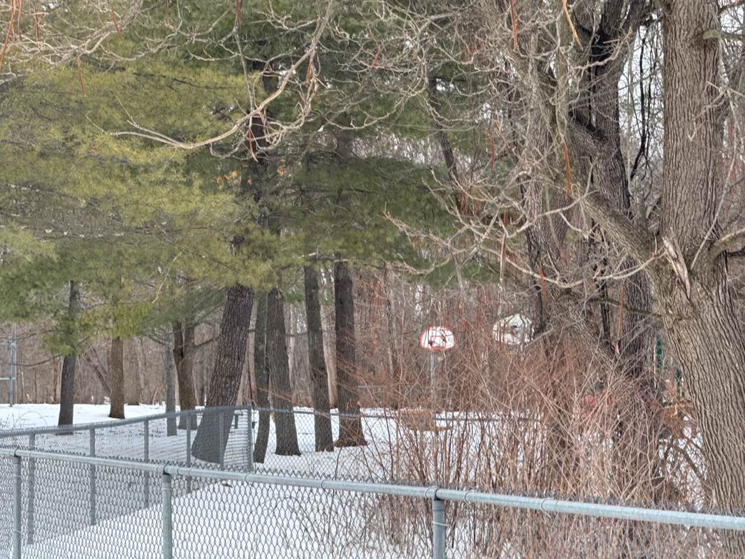 walking near me in John Street Neighborhood Park in winter