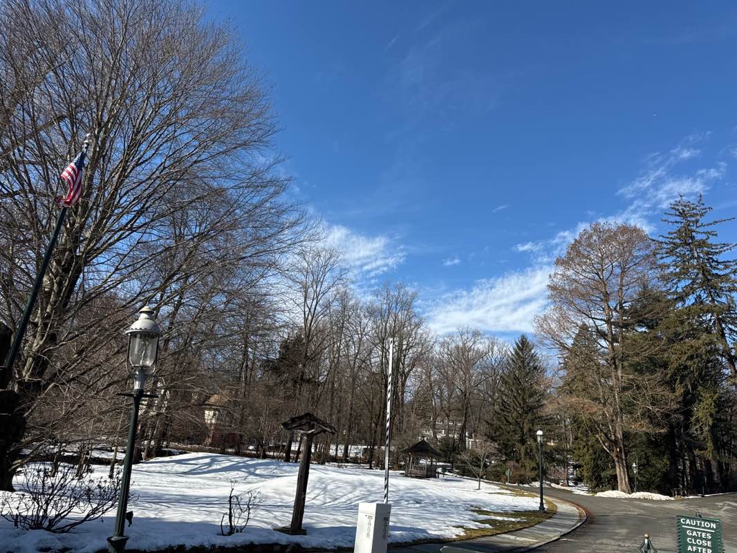 walking near me in The Ramble in winter