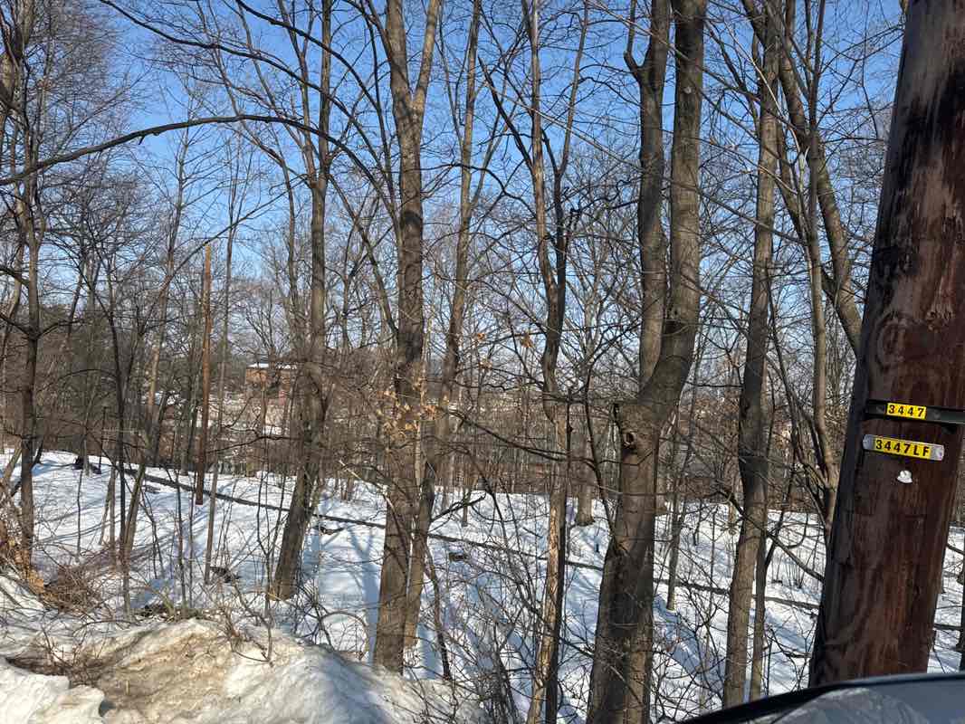 walking near me in Morris Canal Preserve in winter