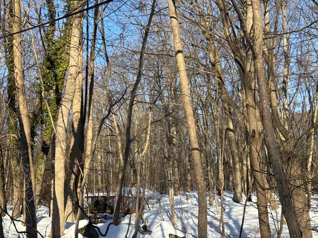 walking near me in H & T Property in winter