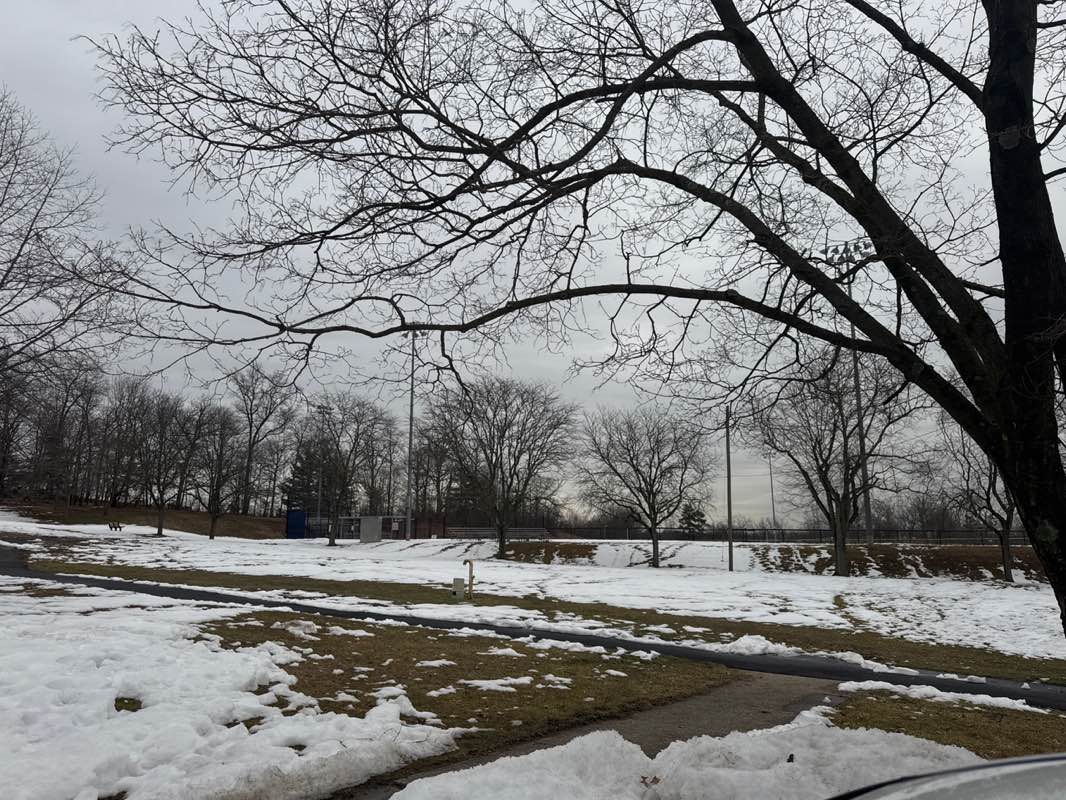 walking near me in Black Brook Park in winter