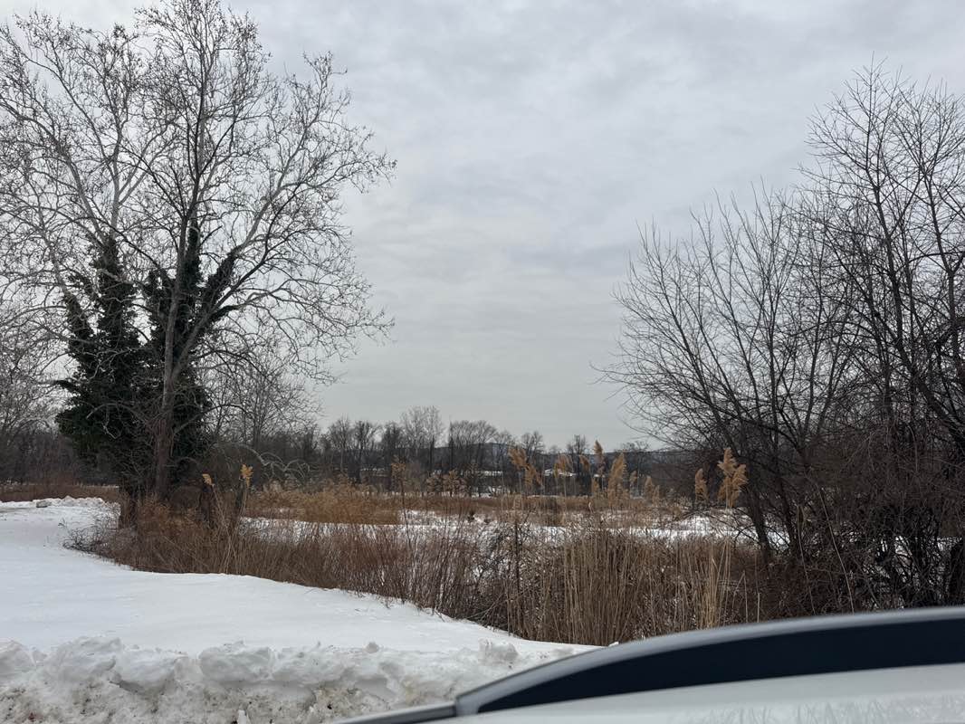 walking near me in Riverside Park in winter