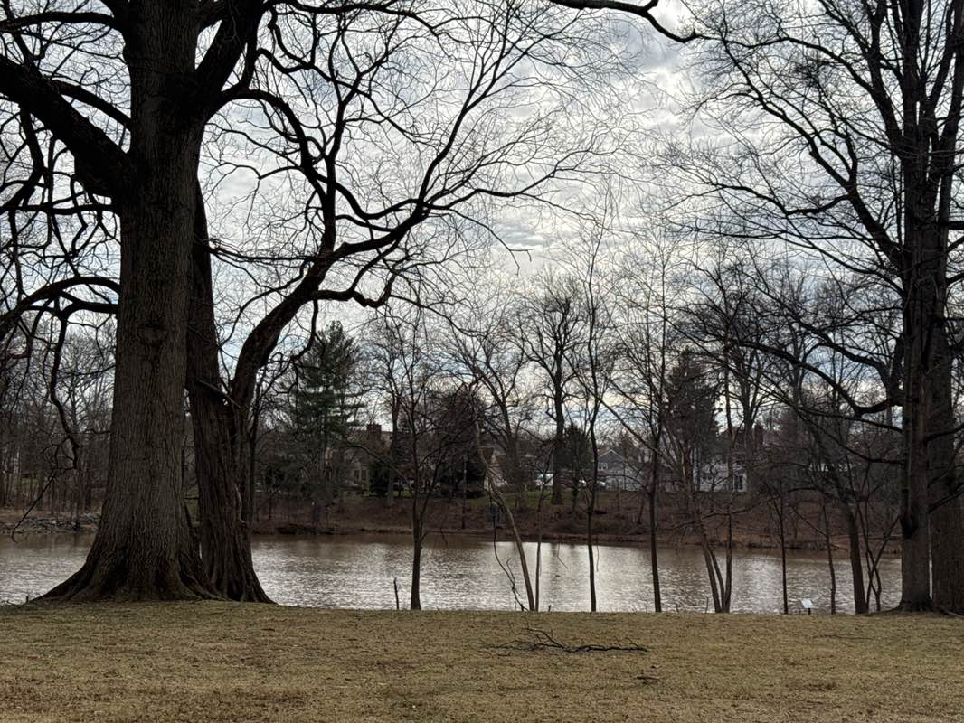 walking near me in Milton Lake Park in spring