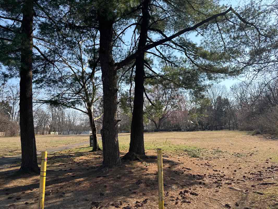 walking near me in Oak Tree Park in spring