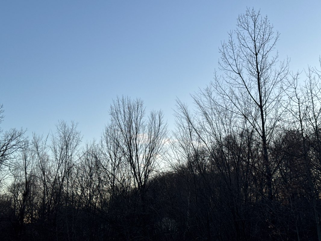 walking near me in Van Saun County Park in spring