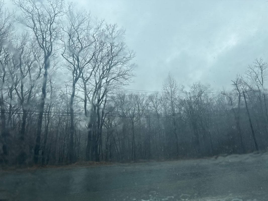 walking near me in Mahlon Dickerson Reservation in spring
