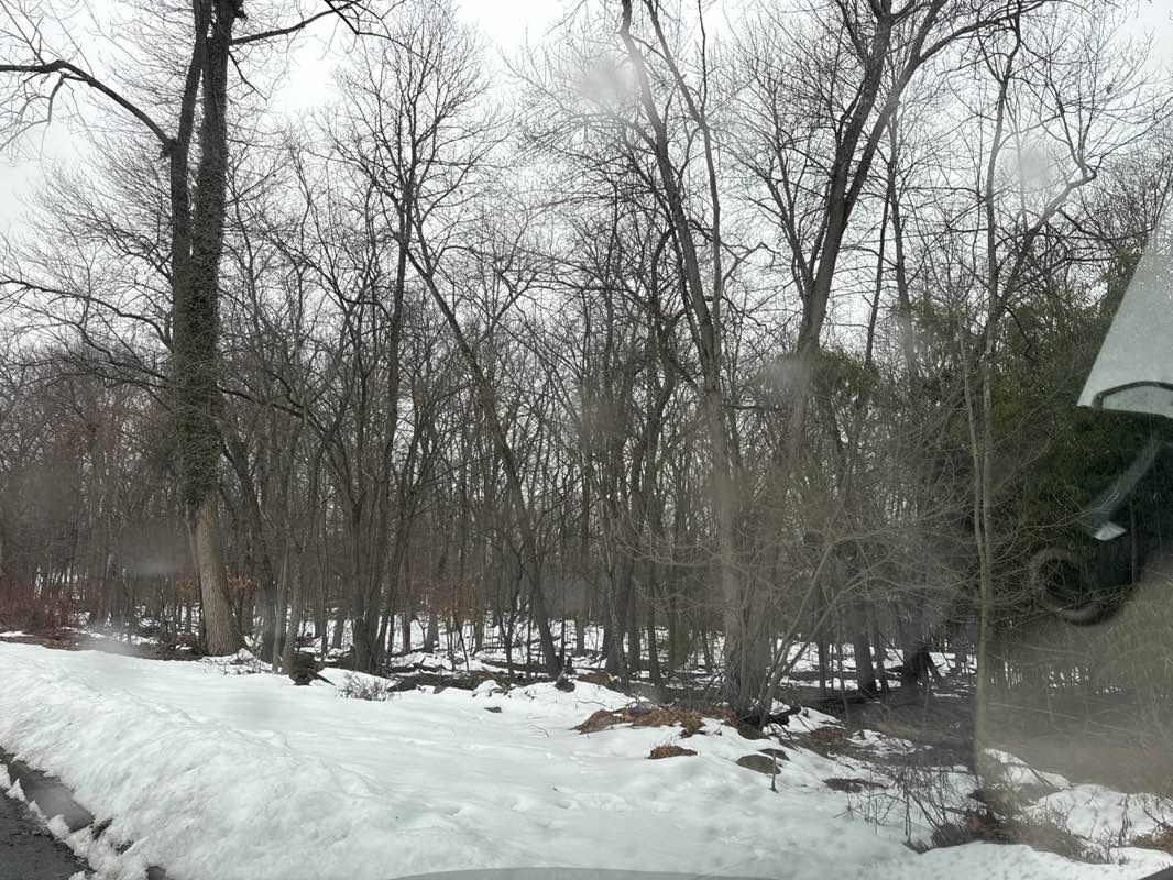 walking near me in Village Drive Park in spring