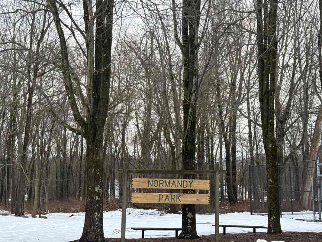 walking near me in Normandy Park in spring