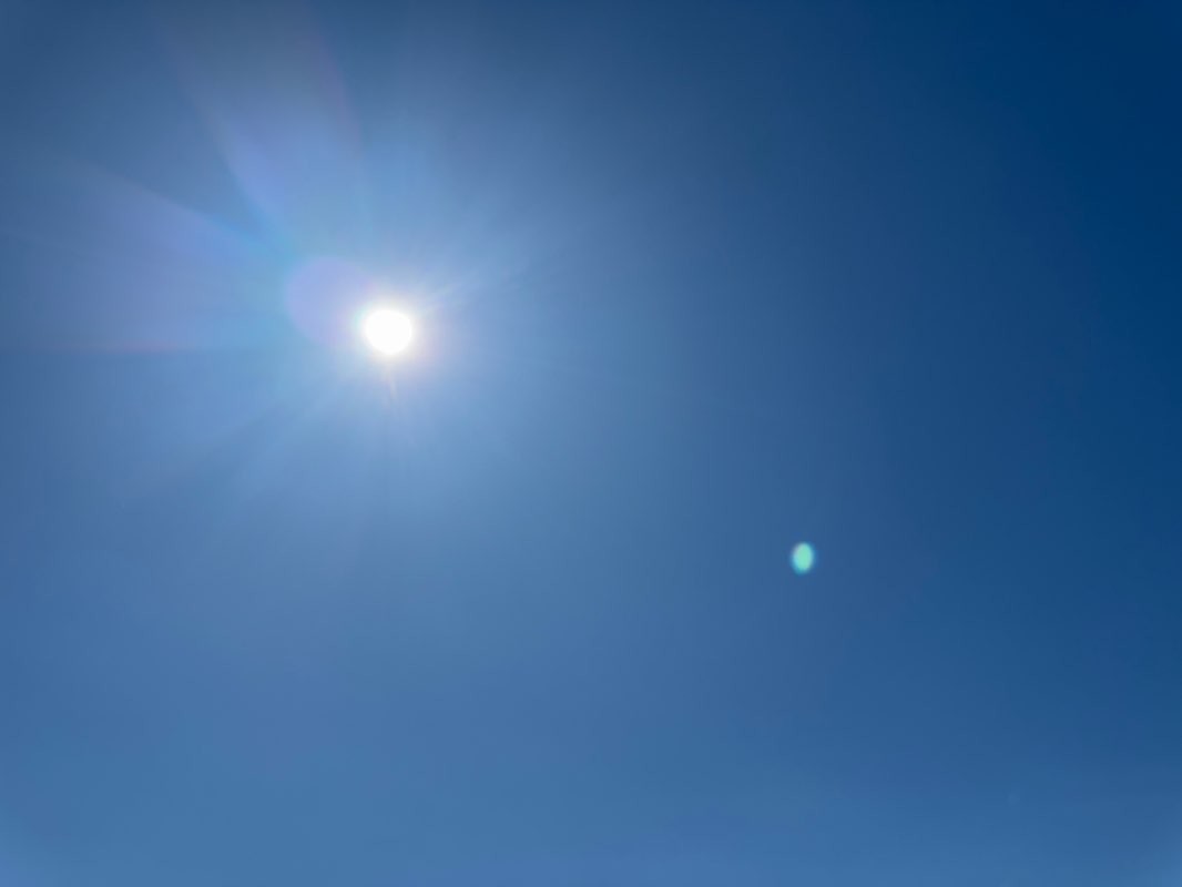 walking near me in Norma B. Handloff Park in spring