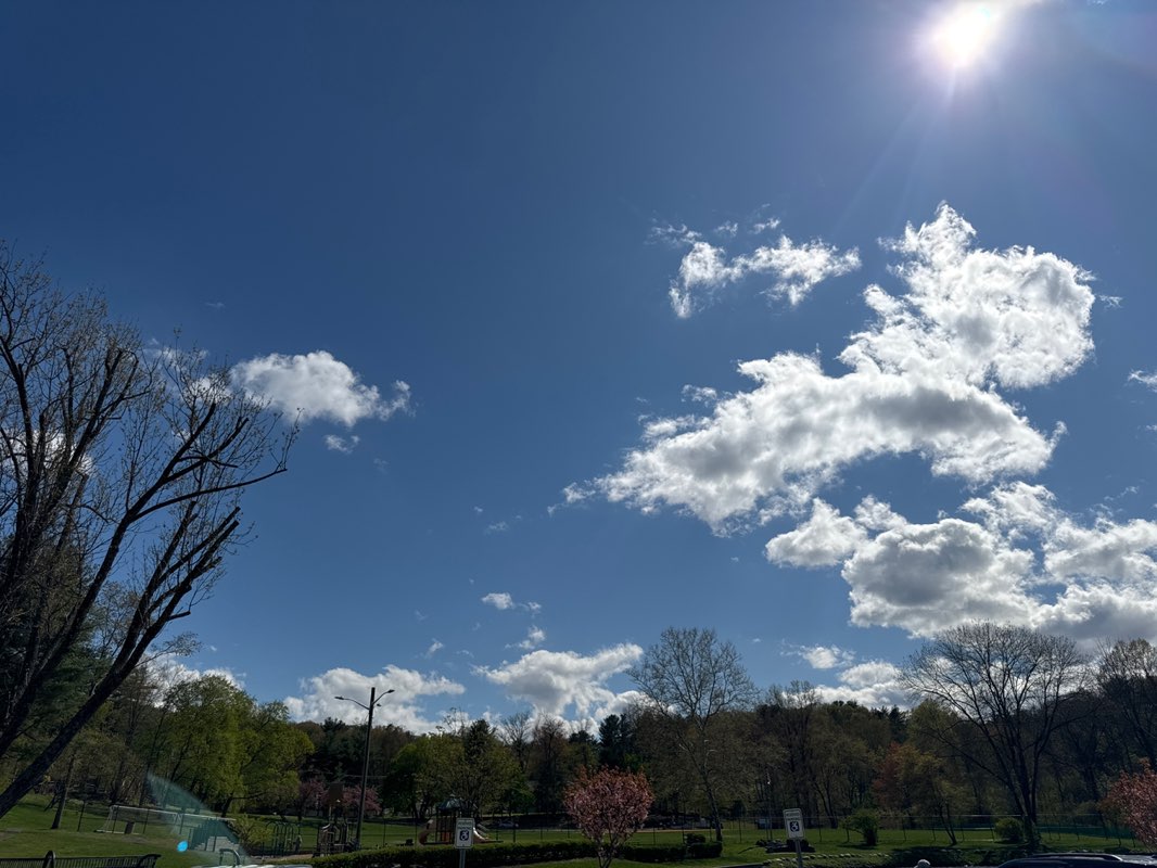 walking near me in Leitas Pond Park / Carroll Park in spring