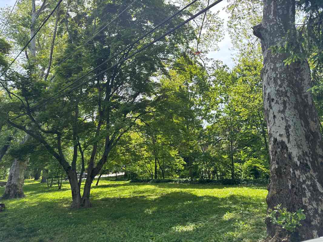 walking near me in Rock Lane Park in summer