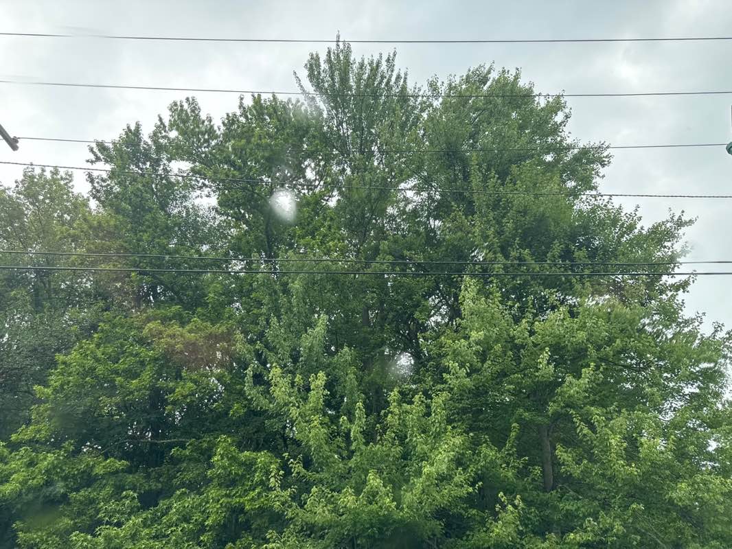 walking near me in West Essex Park in summer