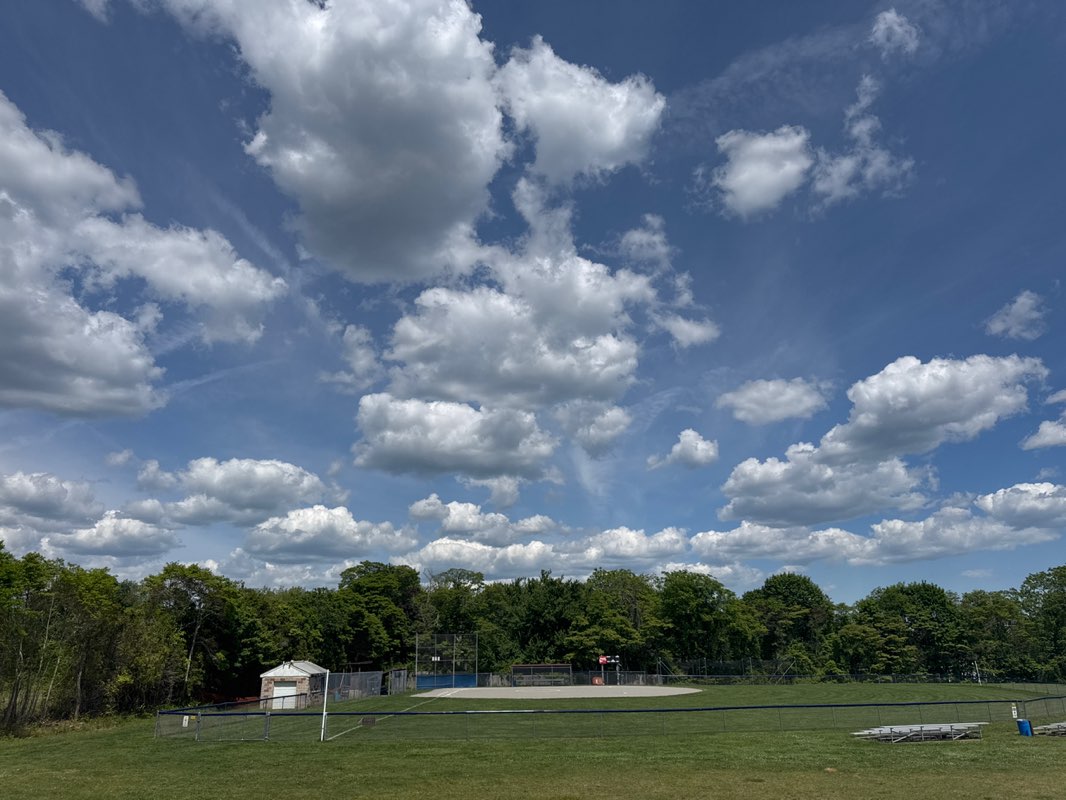 walking near me in Lisa Dedrick Memorial Park in summer