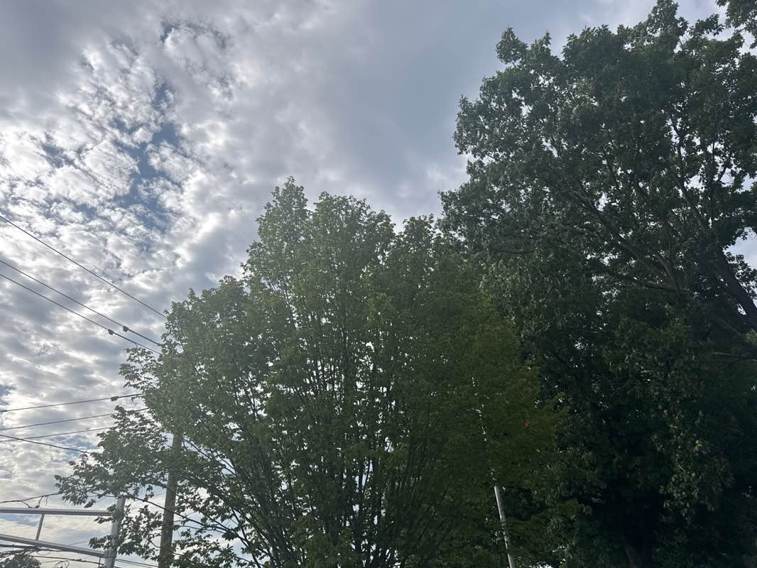 walking near me in Fireman's Park in summer