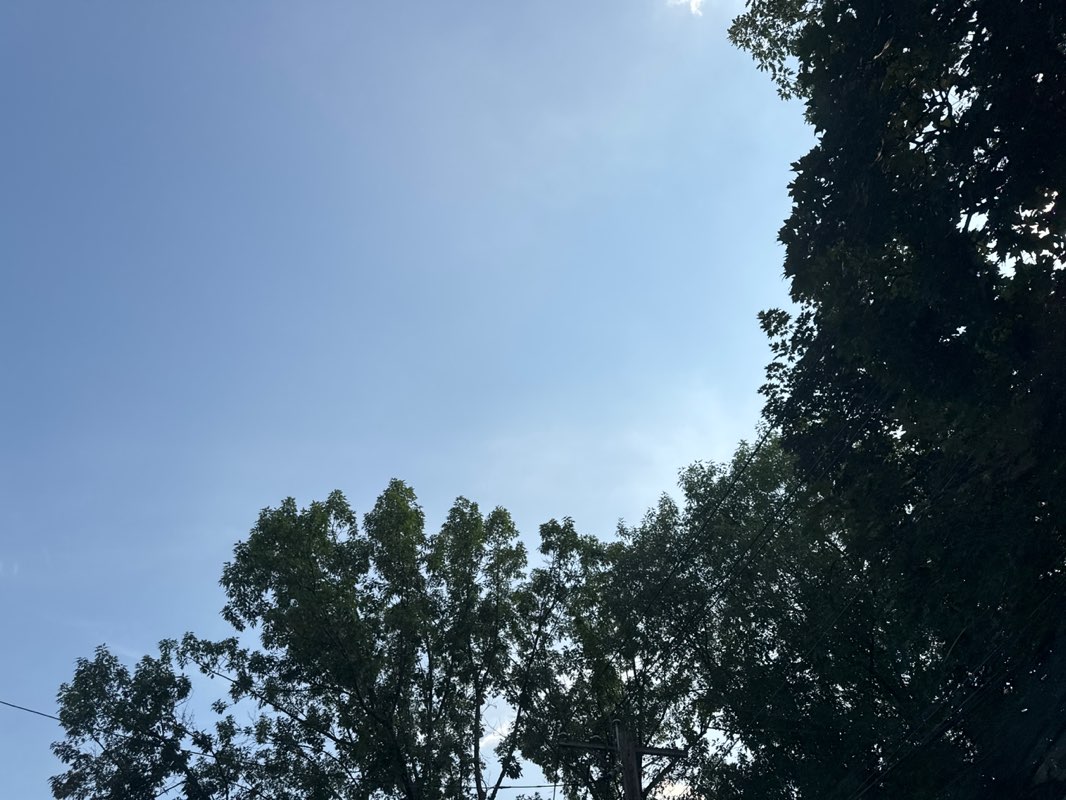 walking near me in Fireman's Park in summer