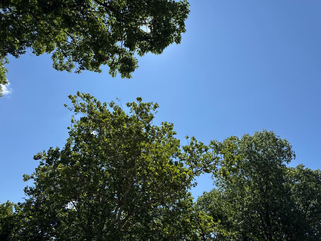 walking near me in The Glen in summer