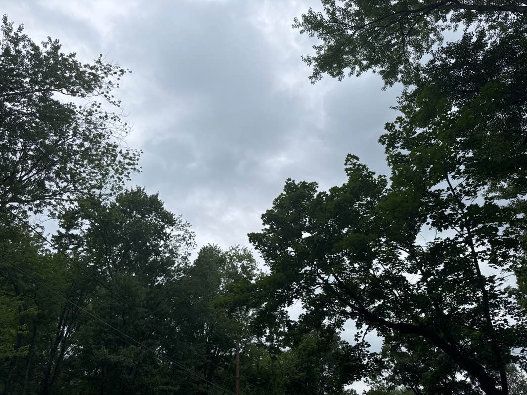 walking near me in Memorial Park in summer