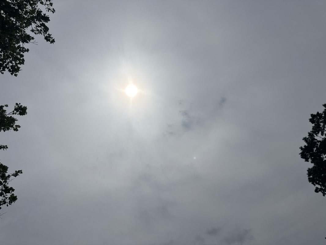 walking near me in Madison Park in summer