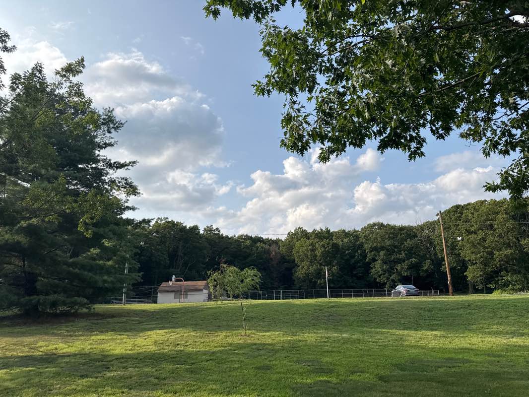 walking near me in PFC Walter D. Faith Memorial Field in summer
