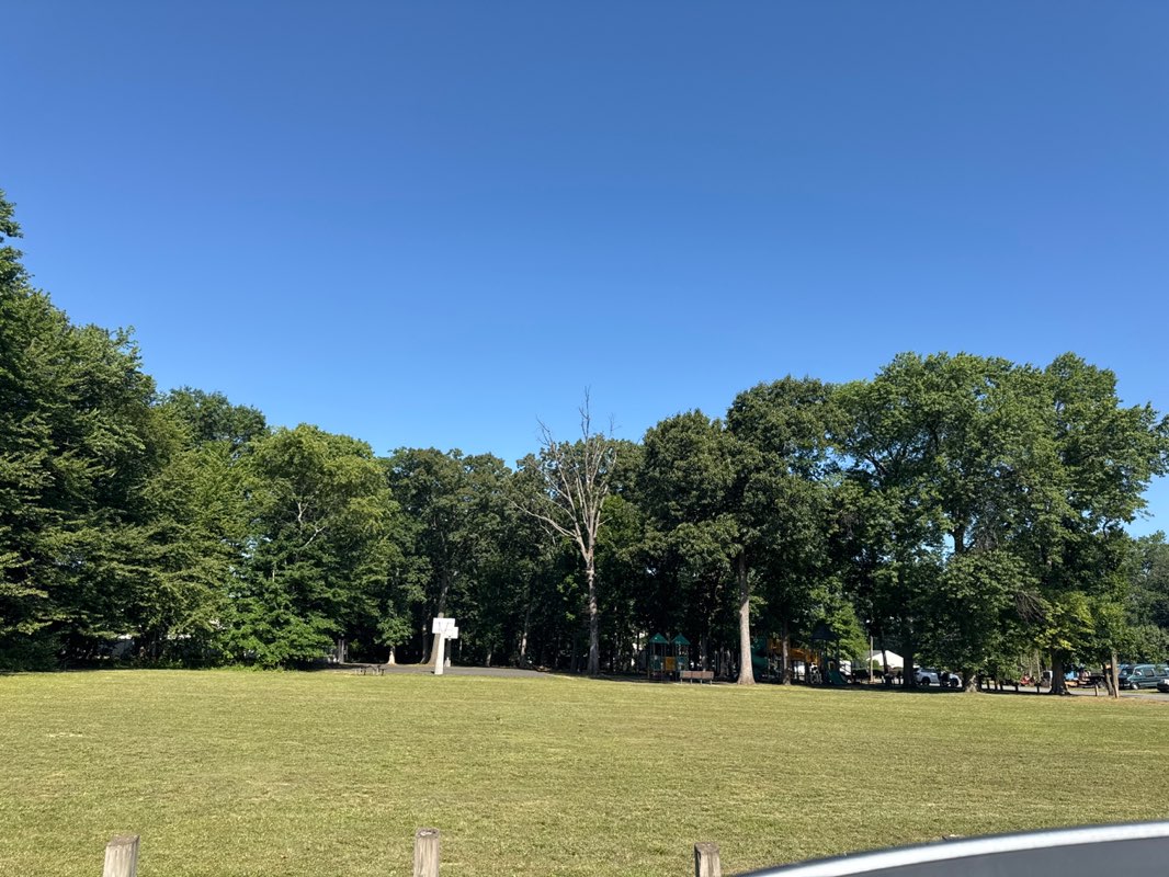 walking near me in Bascom Park in summer