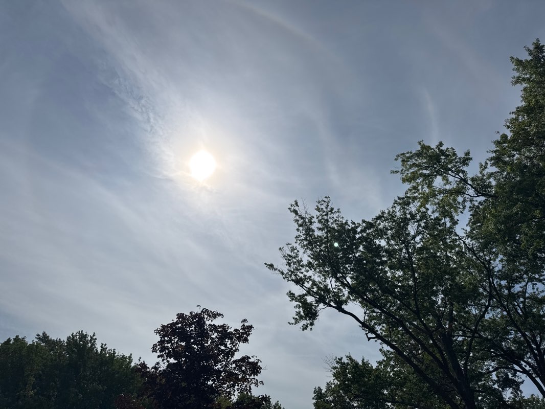 walking near me in Esther Egbert Park in summer