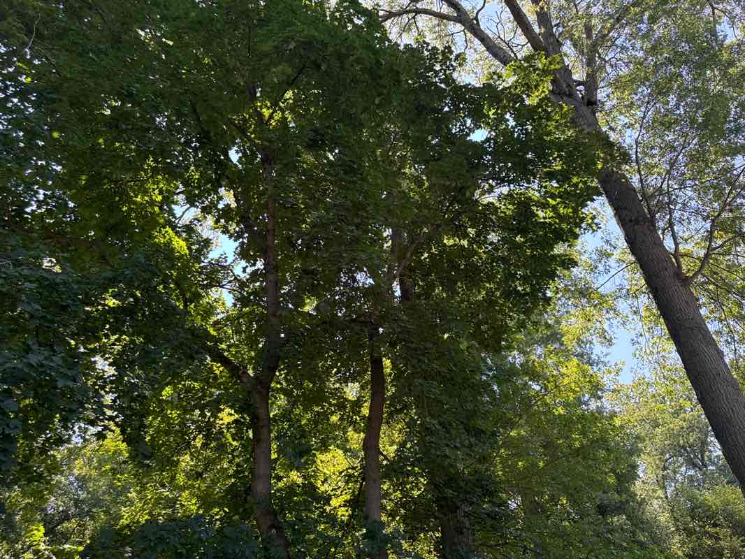 walking near me in Pompton Aquatic Park in summer