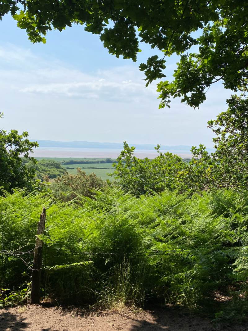 walking near me in Cubbins Green in winter