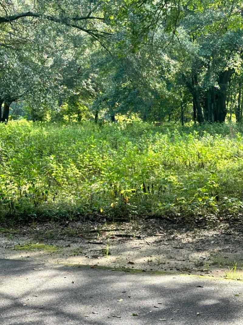 walking near me in East Macon Center in winter