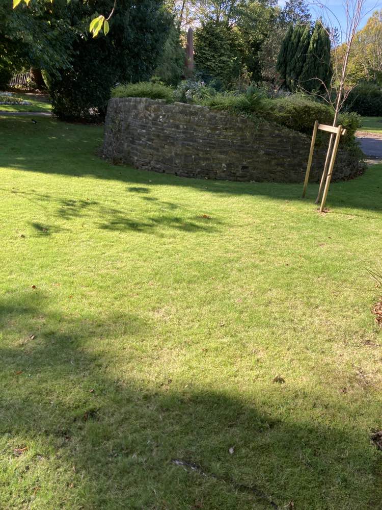 walking near me in Victoria Park in autumn