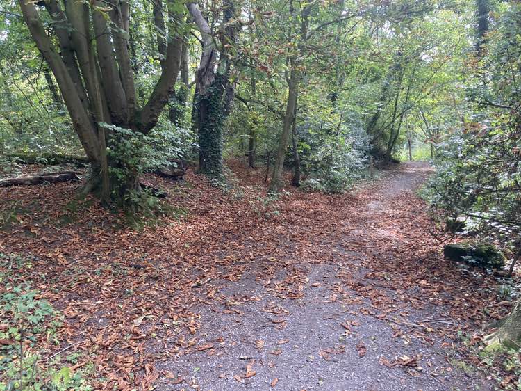 walking near me in Tawd Valley Park in autumn