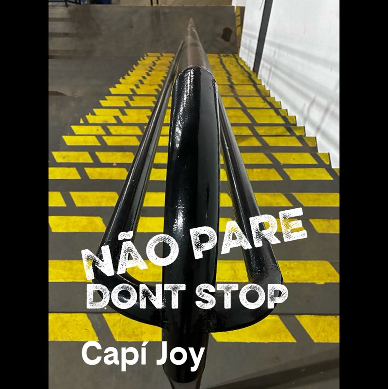 Capi Joy 🇧🇷🇺🇸 profile