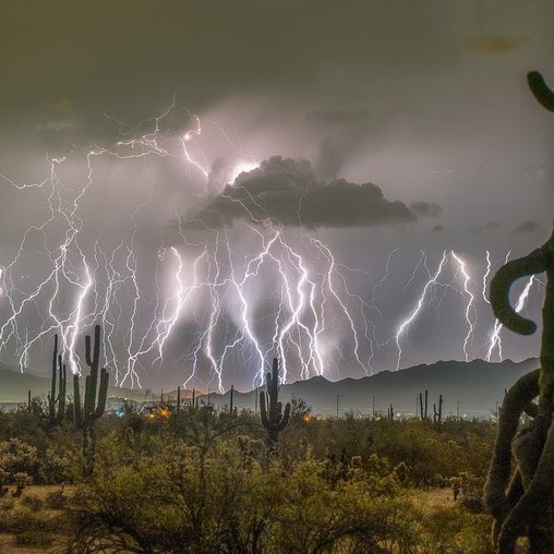 Capí Joy 🇧🇷 Capi Joy 🇧🇷🇺🇸 post image