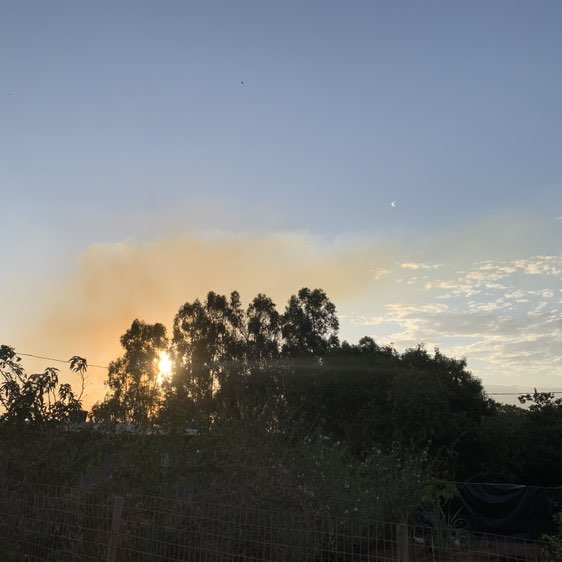 keepGOING! Capi Joy 🇧🇷🇺🇸 post image