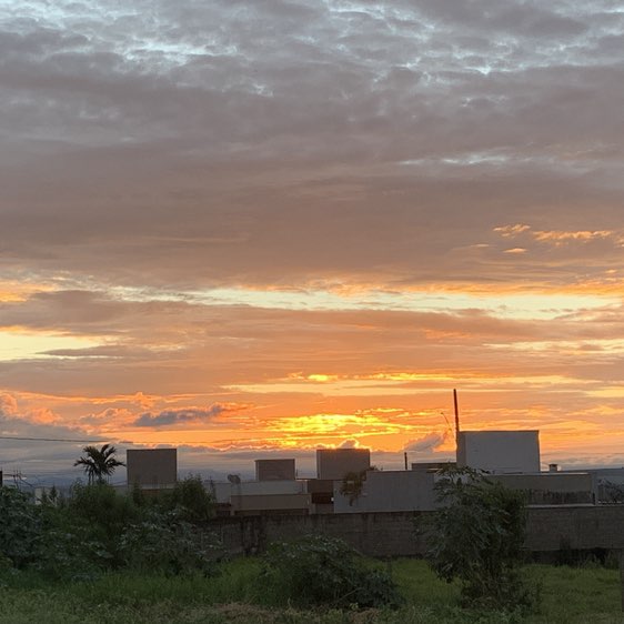 Capí Joy 🇧🇷🇺🇸 Capi Joy 🇧🇷🇺🇸 post image