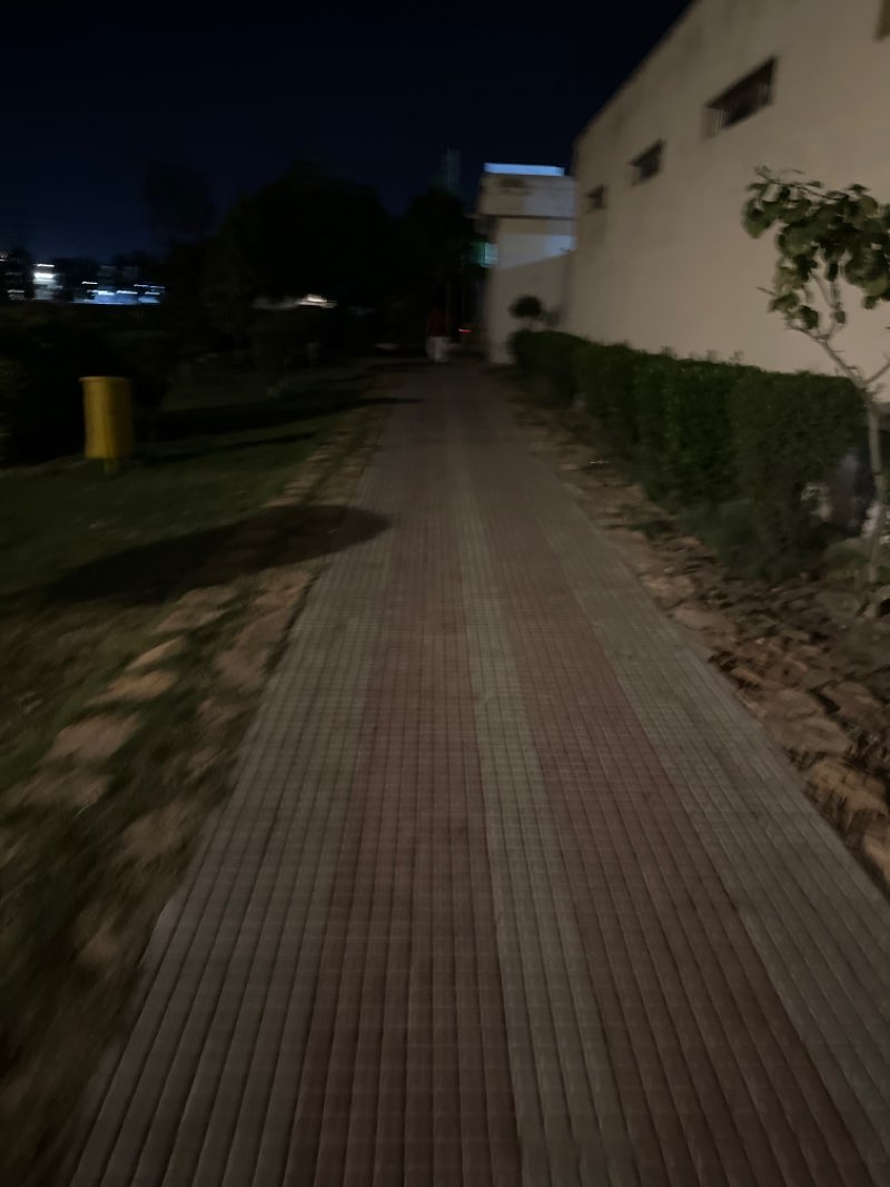 walking near me in Askari Park in winter