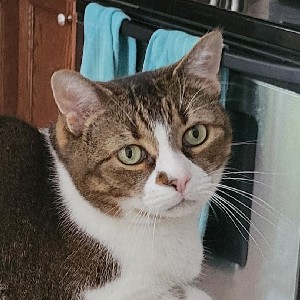 Natalie Jarzembowski profile