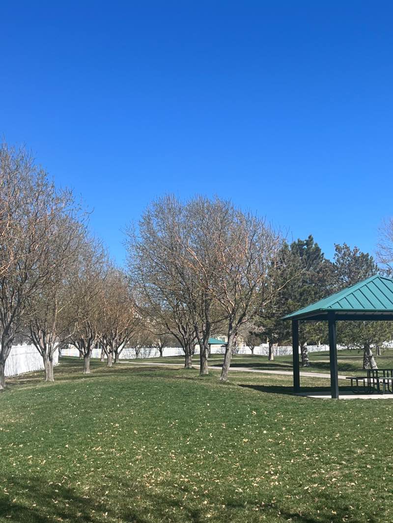 walking near me in Heritage Park in spring