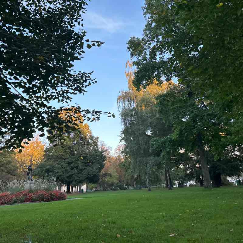 Deni Sa 🇨🇭⛰️ 🌻 post 1