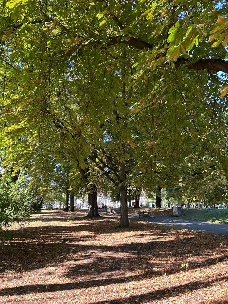 walking near me in Parc des Bastions in autumn