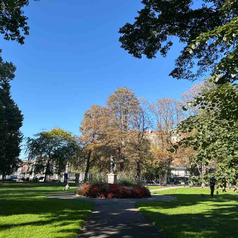 Deni Sa 🇨🇭⛰️ 🌻 post 1