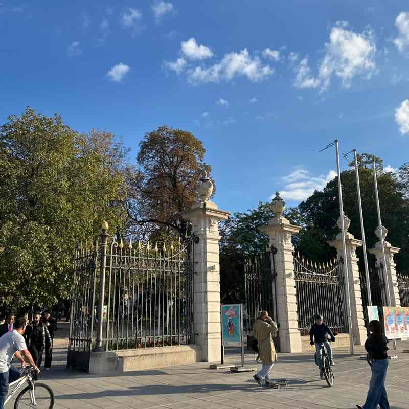 Deni Sa 🇨🇭⛰️ 🌻 post 1