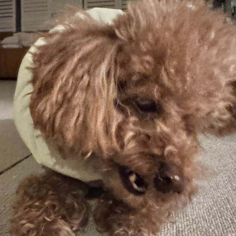 그냥 그런 사람 profile